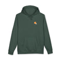 Mostly Sunny Hoodie